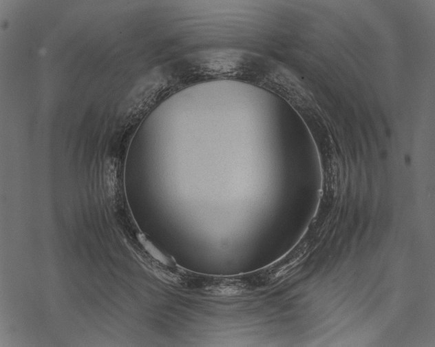 X0000077990412200611031425