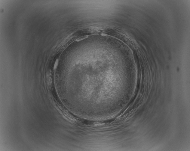 X0000077990413200611031425