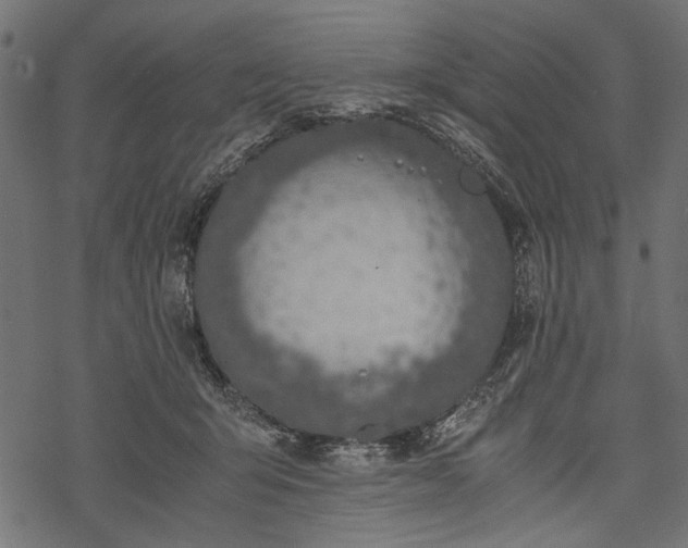 X0000077990415200611031425