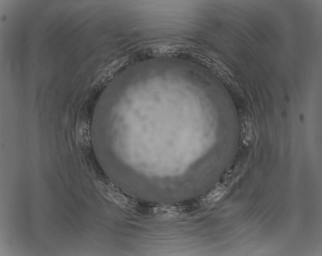 X0000077990419200611031425