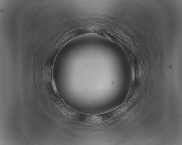 X0000077990421200611031425