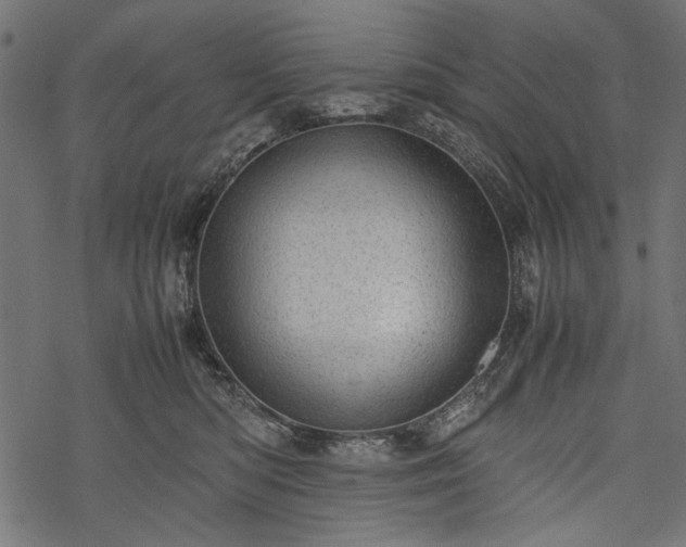 X0000077990422200611031425