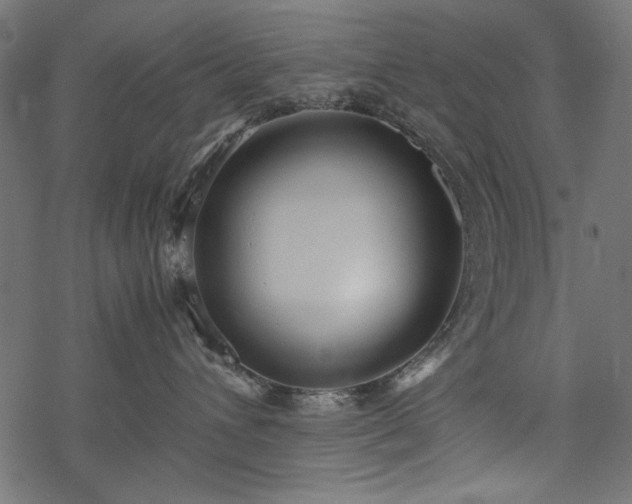 X0000077990432200611031425