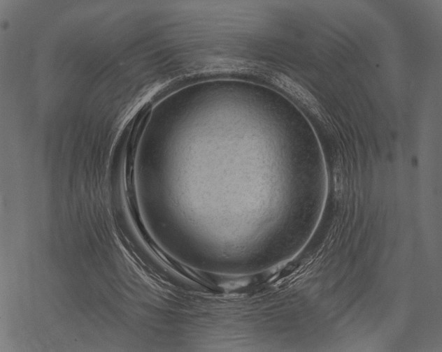 X0000077990436200611031424