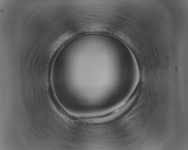 X0000077990438200611031424