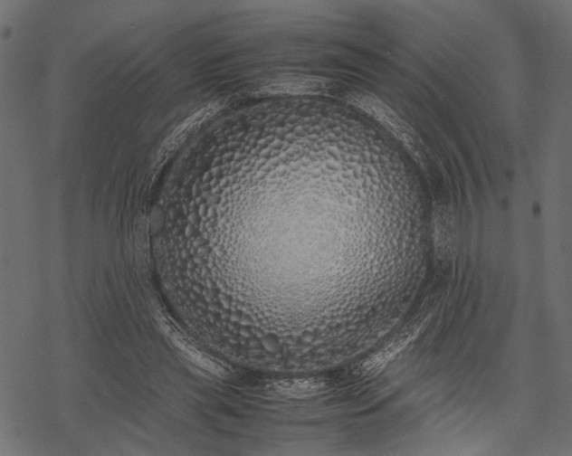X0000077990445200611031424