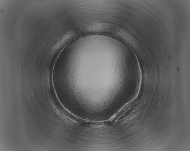 X0000077990446200611031424