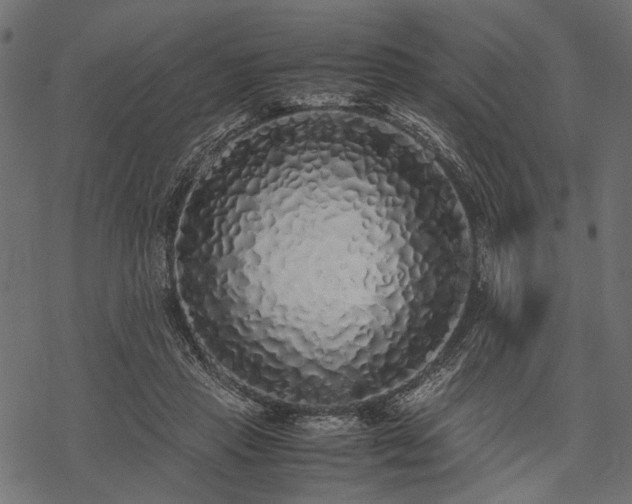 X0000077990453200611031424