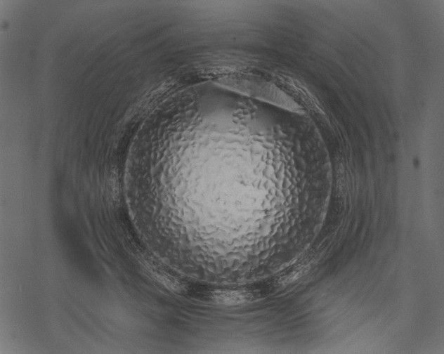 X0000077990457200611031424