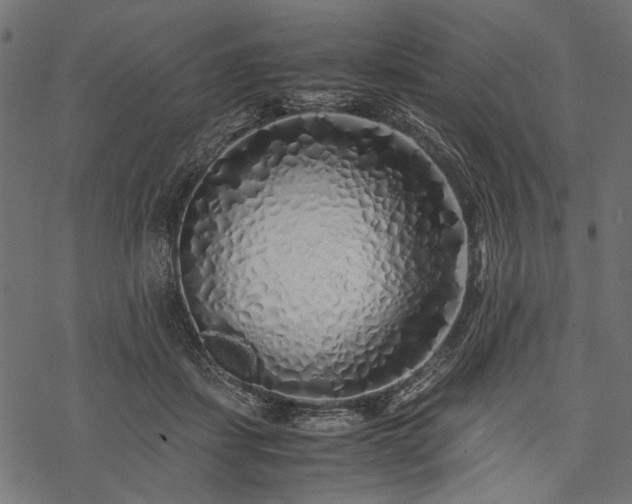X0000077990459200611031425