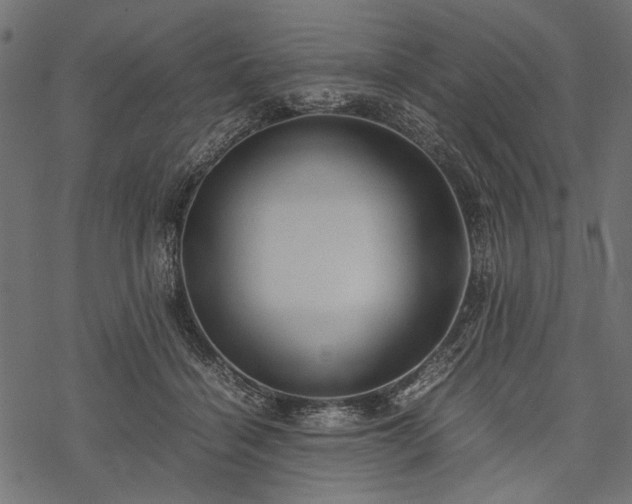 X0000077990460200611031425