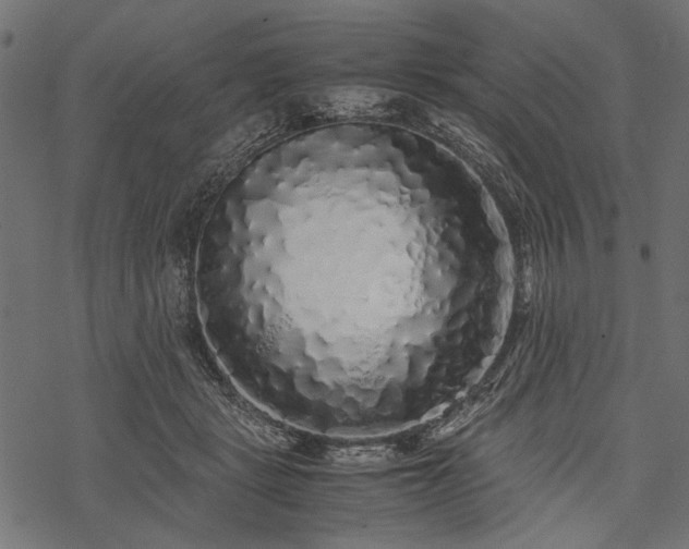 X0000077990461200611031425