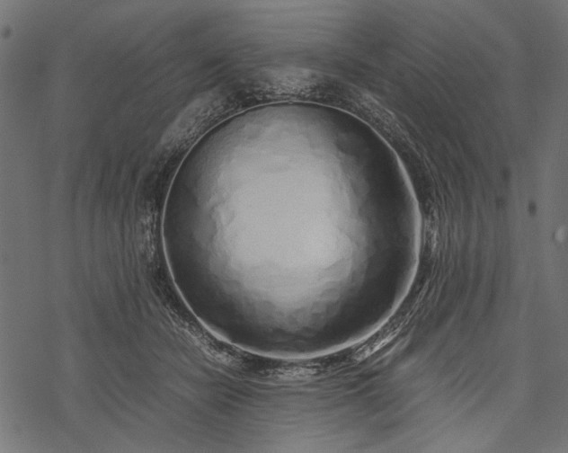 X0000077990462200611031425