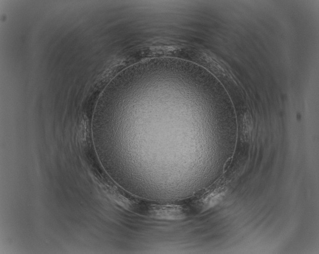 X0000077990463200611031425