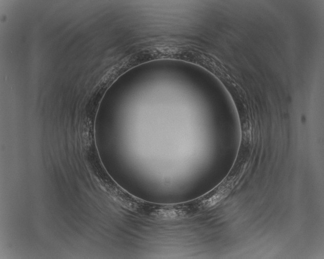 X0000077990464200611031425
