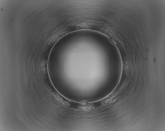 X0000077990466200611031425