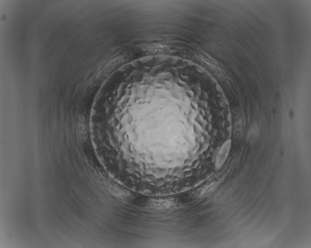 X0000077990469200611031425