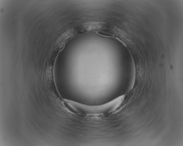 X0000077990475200611031425