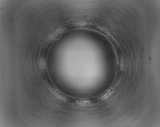 X0000077990476200611031425