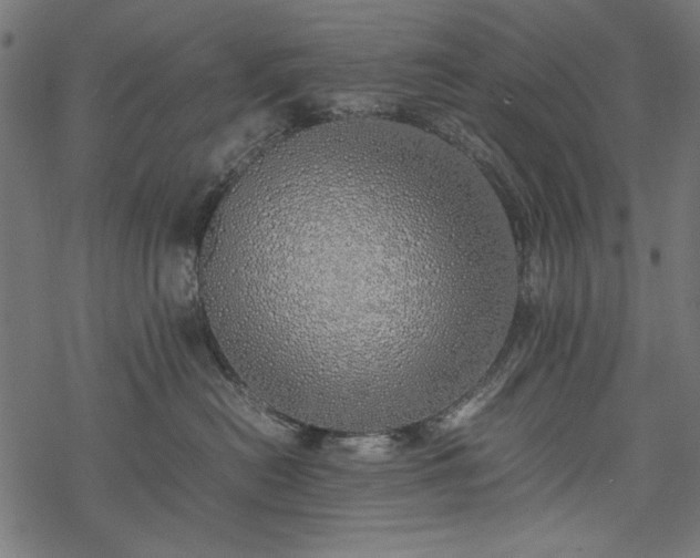 X0000077990478200611031425