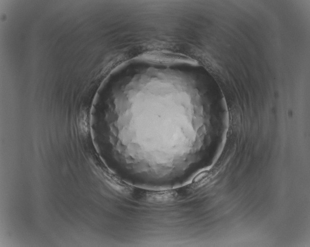 X0000077990479200611031425