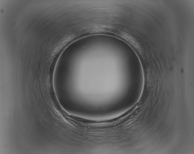 X0000077990485200611031424