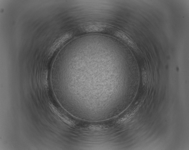 X0000077990490200611031424
