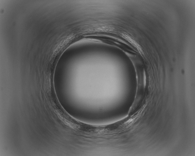 X0000077990493200611031424