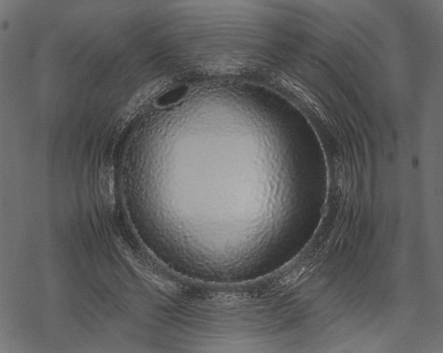 X0000077990494200611031424