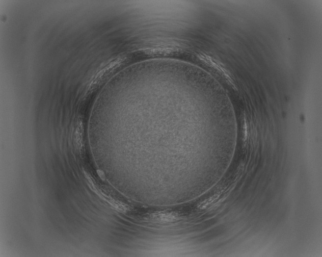 X0000077990498200611031424