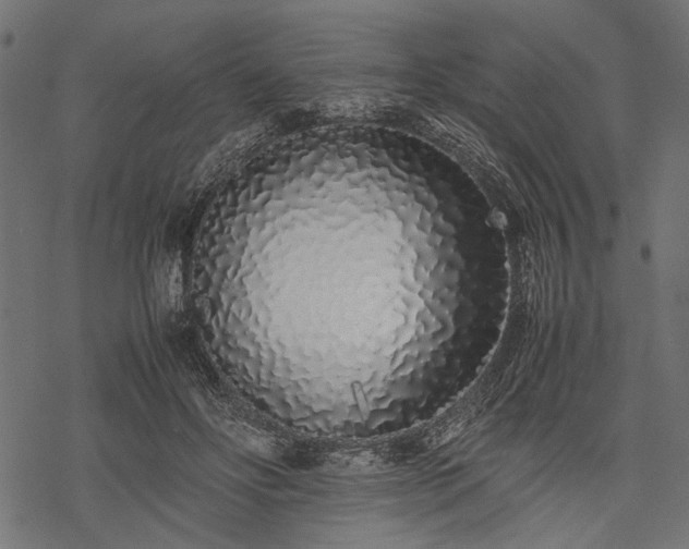 X0000077990502200611031424