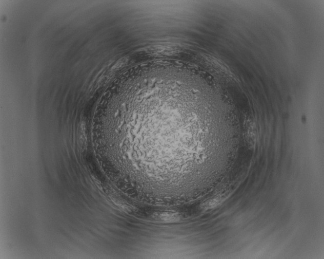 X0000077990506200611031424