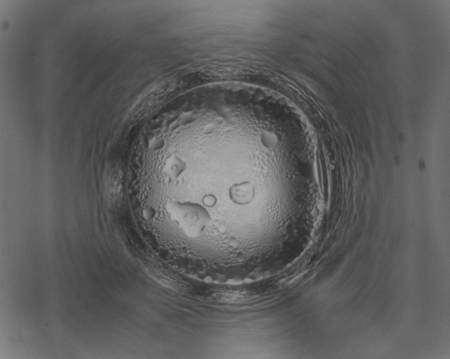 X0000077990507200611031424