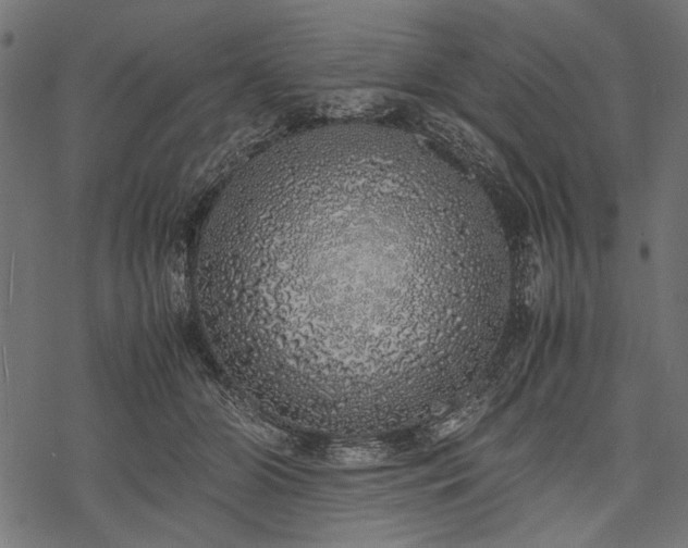 X0000077990510200611031424
