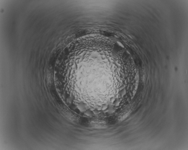 X0000077990515200611031424