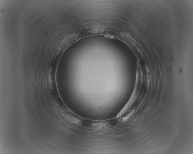 X0000077990516200611031424
