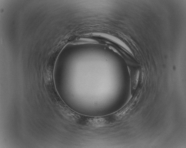 X0000077990517200611031424