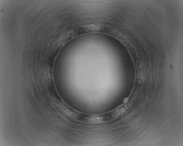 X0000077990518200611031423