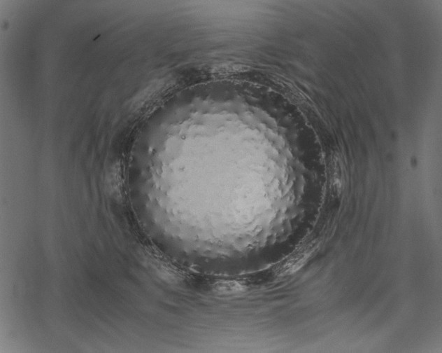X0000077990519200611031423