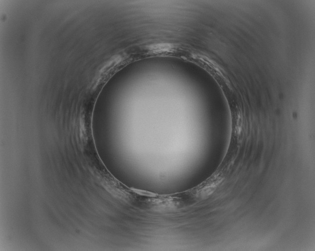 X0000077990524200611031423
