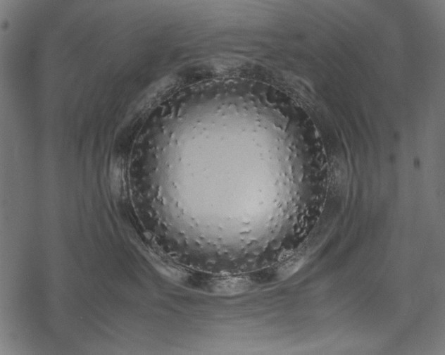 X0000077990527200611031423