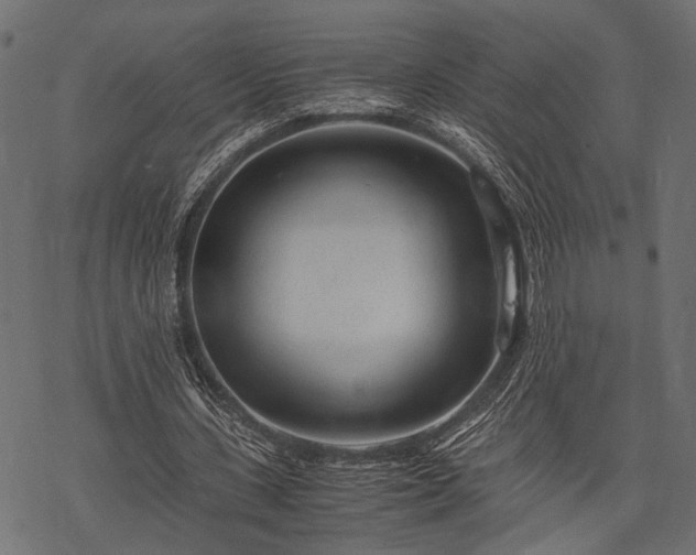 X0000077990531200611031423