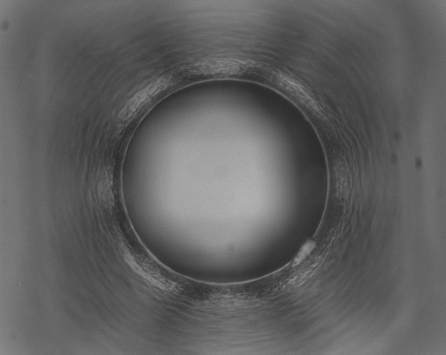 X0000077990538200611031423