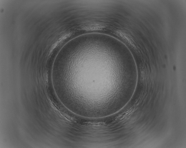 X0000077990539200611031423