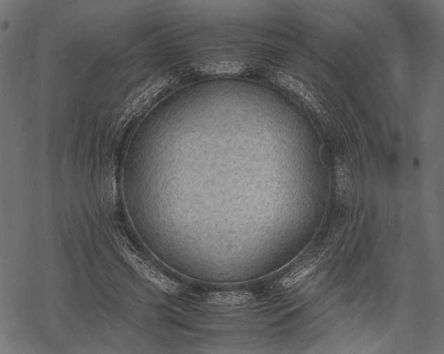 X0000077990541200611031423
