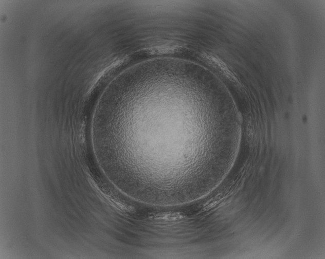 X0000077990543200611031423