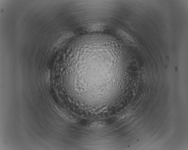 X0000077990550200611031423