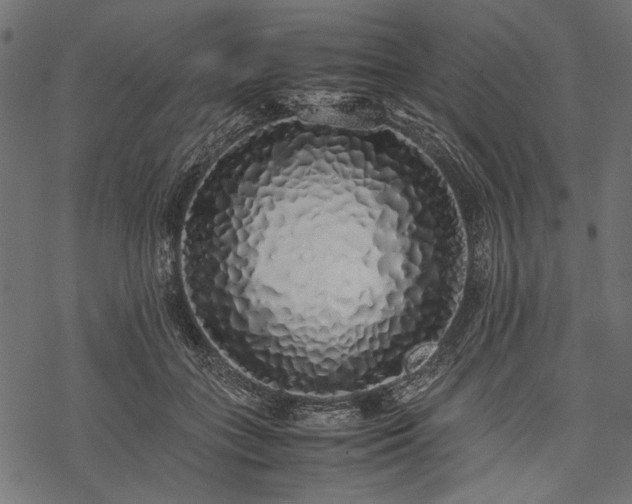 X0000077990555200611031423