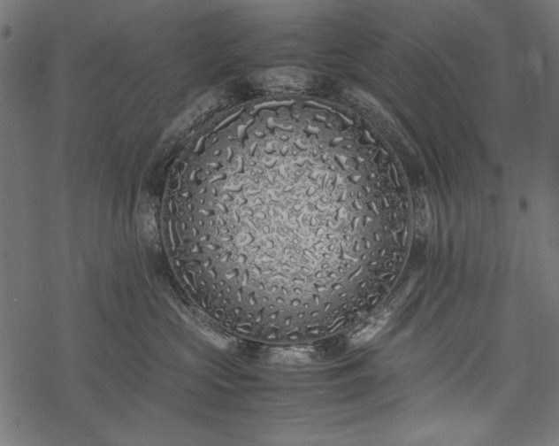 X0000077990573200611031423
