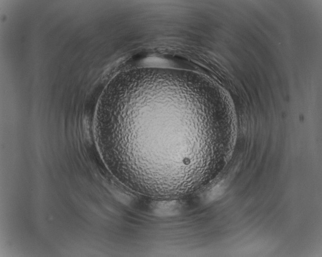 X0000077990575200611031423
